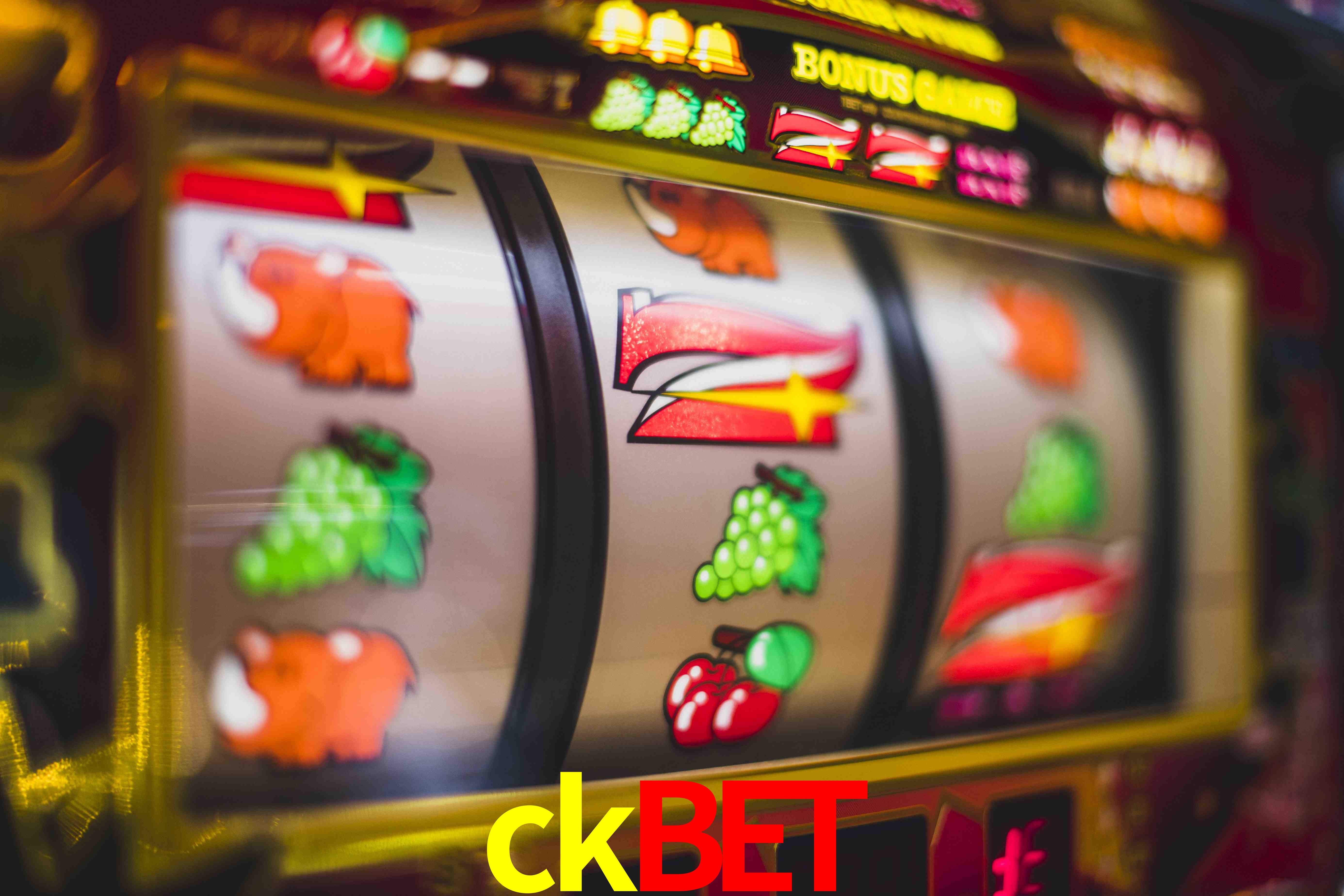 Sports Statistics ckbet